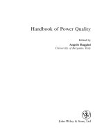 SỔ TAY VỀ CHẤT LƯỢNG ĐIỆN (Handbook of Power Quality)