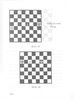Tự học chơi cờ vua part 8 ppsx