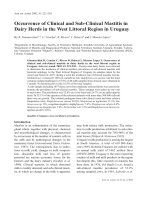 Báo cáo khoa học: 