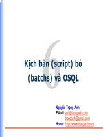 Kịch bản (script) bó (batchs) và OSQL pot