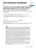 Báo cáo khoa học: 