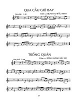 Đàn bầu nâng cao part 4 potx