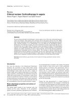 Báo cáo khoa học: 