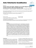 Báo cáo khoa học: 