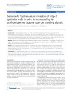 Báo cáo khoa học: 