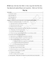 Quy trình mua bán  sát nhập doanh nghiệp và thực trạng tình hình mua bán sáp nhập doanh nghiệp tại việt nam