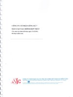 công ty cổ phần sông đà 7 báo cáo tài chính hợp nhất cho năm tài chính kết thúc ngày 31 tháng 12 năm 2012 đã được kiểm toán