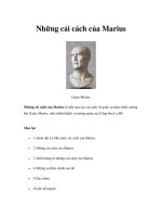 Những cải cách của Marius pot