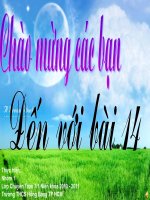 giáo án sinh học lớp 7 tham khảo một số giun tròn khác và đặc điểm chung của ngành giun tròn (3)