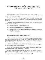 Phương pháp tự học thổi sáo và ngâm thơ part 5 docx