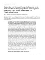 Báo cáo khoa học: 