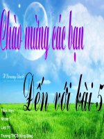 giáo án bồi dưỡng tham khảo sinh học lớp 7 trùng biến hình và trùng giày (2)