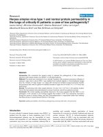 Báo cáo khoa học: 