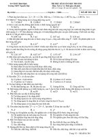 THI HỌC KÌ II NĂM HỌC 2010-2011 Môn: Vật lý - Đề 384 doc