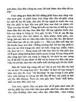 Văn hóa và lịch sử người Thái ở Việt Nam part 4 pot