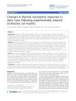 Báo cáo khoa học: 