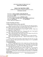 báo cáo thường niên công ty cổ phần xi măng sông đà yaly năm báo cáo 2013