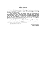 Nghiên cứu nhu cầu của du khách nội địa đối với sản phẩm thủ công mỹ nghệ khánh hòa