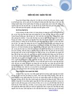 BIỆN HỘ CHO XUÂN TÓC ĐỎ doc