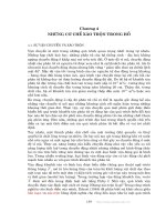 Các quá trình vật lý và hóa học của hồ - Chương 4 potx