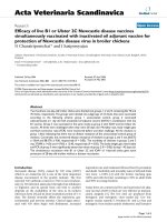 Báo cáo khoa học: 