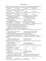 Đề thi phân ban 21 ppsx