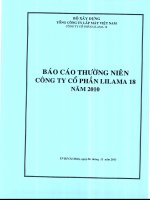 công ty cổ phần lilama 18 báo cáo thường niên 2010