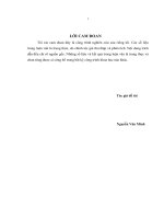 Đánh giá sự hài lòng của khách hàng đối với chất lượng dịch vụ khu vui chơi giải trí vinpearl land