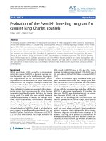 Báo cáo khoa học: 