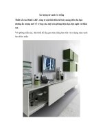 Ấn tượng từ xanh và trắng pptx