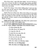 Văn hóa và lịch sử người Thái ở Việt Nam part 7 docx