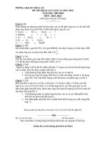 ĐỀ THI KHẢO SÁT CHẤT LƯỢNG HSG NĂM HỌC 2009-2010 MÔN : HOÁ HỌC pot