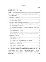 Một số giải pháp nhằm nâng cao năng lực cạnh tranh của dịch vụ taxi mai linh tại thành phố nha trang