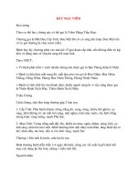 Bệnh Học Thực Hành: KẾT MẠC VIÊM pot