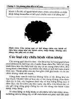 Bệnh thấp khớp và chứng viêm khớp - Chế độ ăn và lời khuyên giúp làm dịu cơn đau part 5 potx