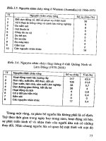 Quản lý cháy rừng ở Việt Nam part 4 pptx