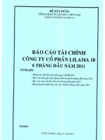 công ty cổ phần lilama 18 báo cáo tài chính 6 tháng đầu  năm 2011