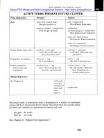 how english works a grammar handbook with readings PHẦN 4 potx