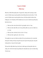 Cụm từ cố định: Phân loại pps