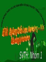 Tiểu luận 