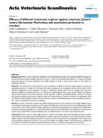 Báo cáo khoa học: 