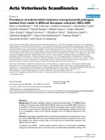 Báo cáo khoa học: 