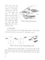 Kỹ thuật trồng một số cây lâm nghiệp, cây đặc sản rừng part 4 docx