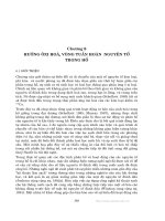 Các quá trình vật lý và hóa học của hồ - Chương 8 doc