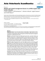 Báo cáo khoa học: 