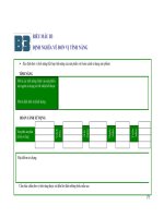 CHIẾN LƯỢC HƯỚNG TỚI PHÁT TRIỂN BỀN VỮNG CỦA CÁC NƯỚC ĐANG PHÁT TRIỂN - 8 pps