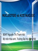 SƠ LƯỢC VỀ NUCLEOTID