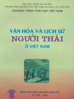 Văn hóa và lịch sử người Thái ở Việt Nam part 1 ppsx