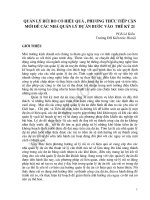 Quản lý rủi ro có hiệu quả , phương thức tiếp cận mới để các nhà quản lý dự án bước vào thế kỷ 21 pot