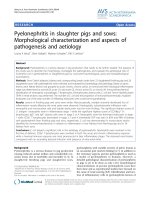 Báo cáo khoa học: 